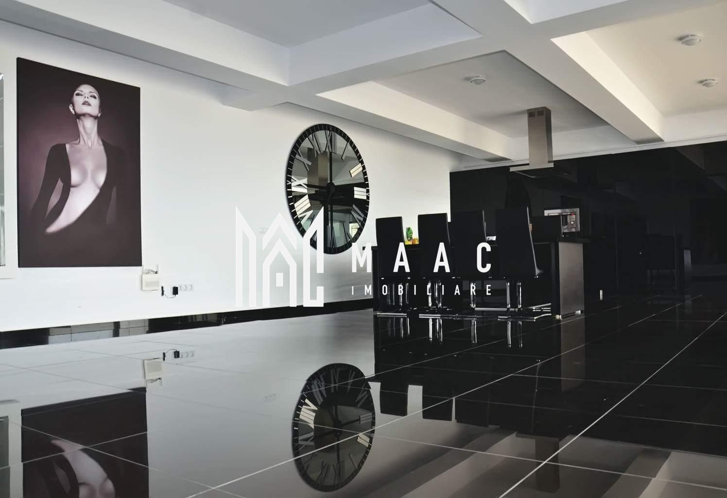 Penthouse 3 camere de închiriat | Șelimbăr | 244 mp — fotografia 5