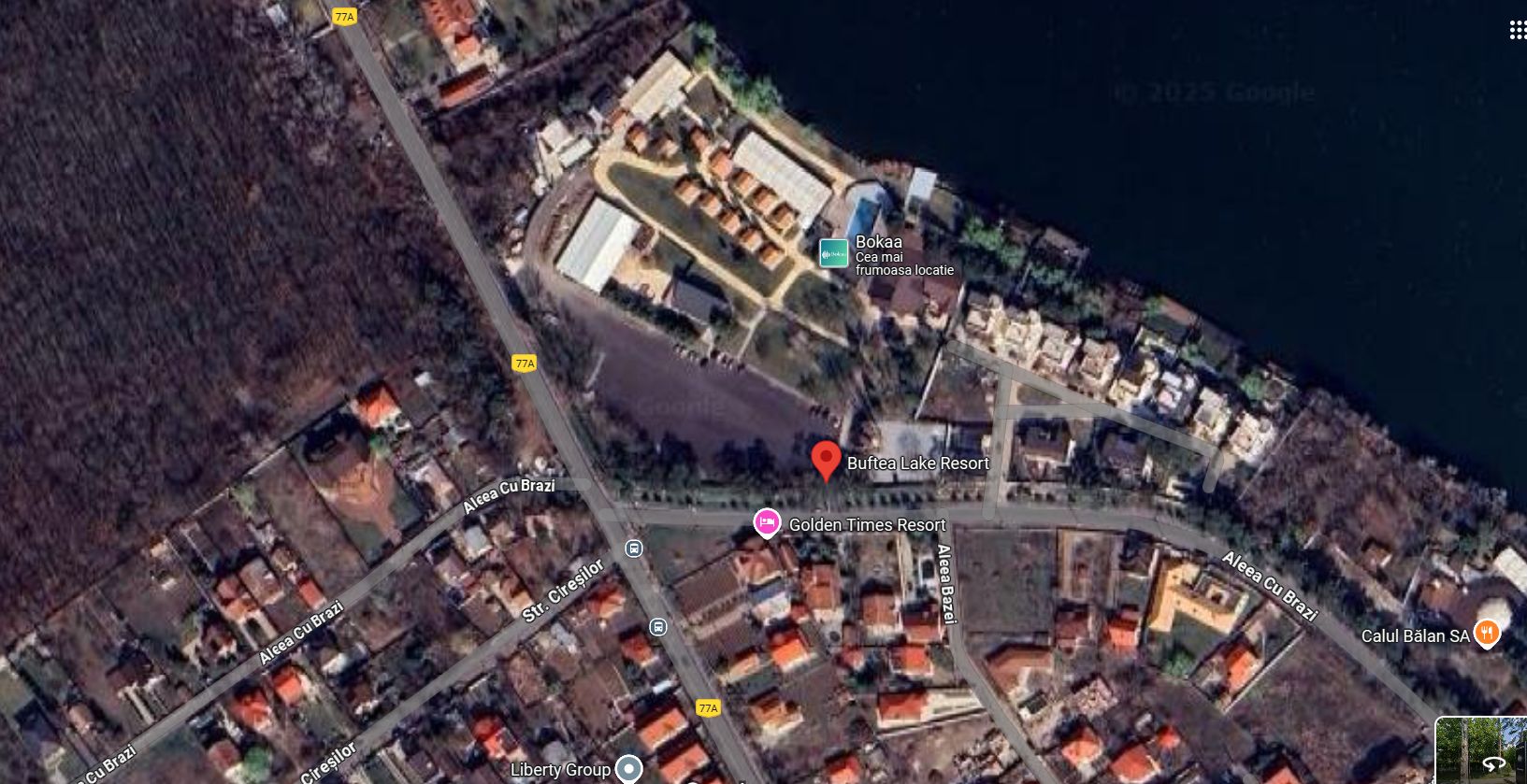 Vila deosebita cu piscina in Buftea — fotografia 6
