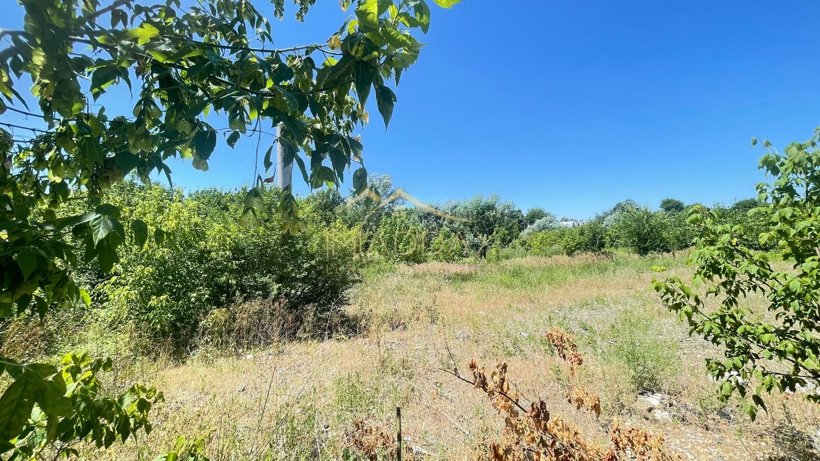 TEREN INTRAVILAN 9.899 MP – DUBLĂ DESCHIDERE – OPORTUNITATE INVESTIȚIONALĂ — fotografia 6