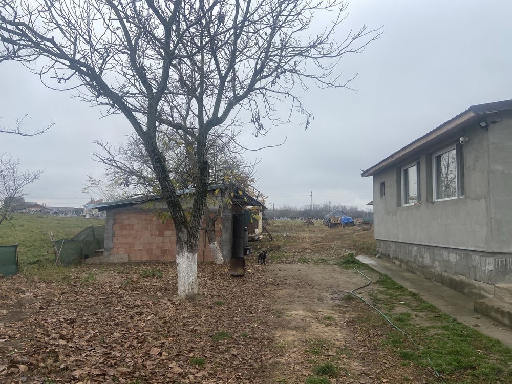 BRASADAS vinde casa in Supuru de Jos. — fotografia 5