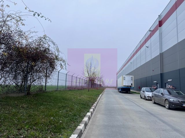 Teren Domnesti- Depozit Altex, Emag. — fotografia 6