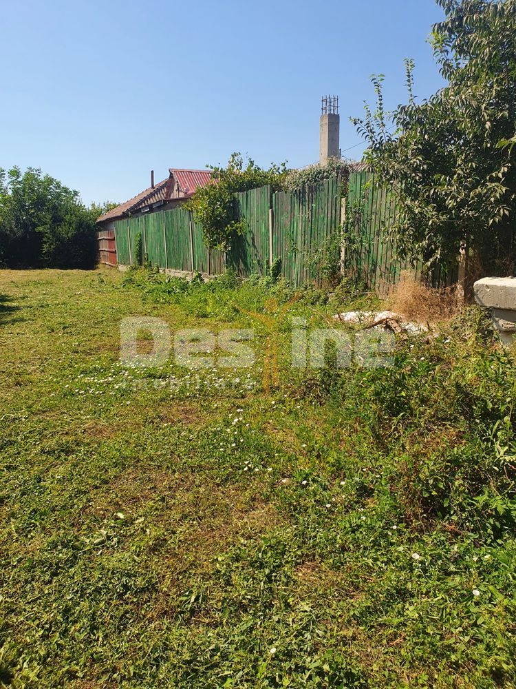Teren intravilan de vânzare în Palazu Mare – 517 mp, deschidere 20,14 — fotografia 4
