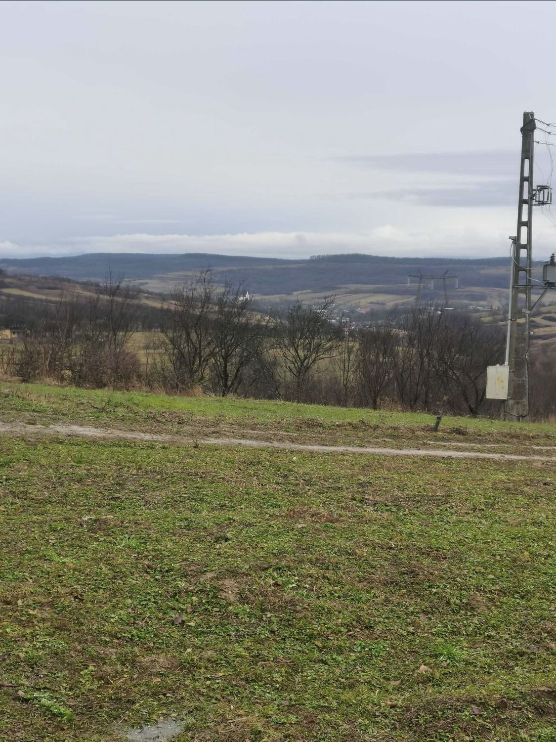 Teren cu o priveliste superba langa padure — fotografia 4