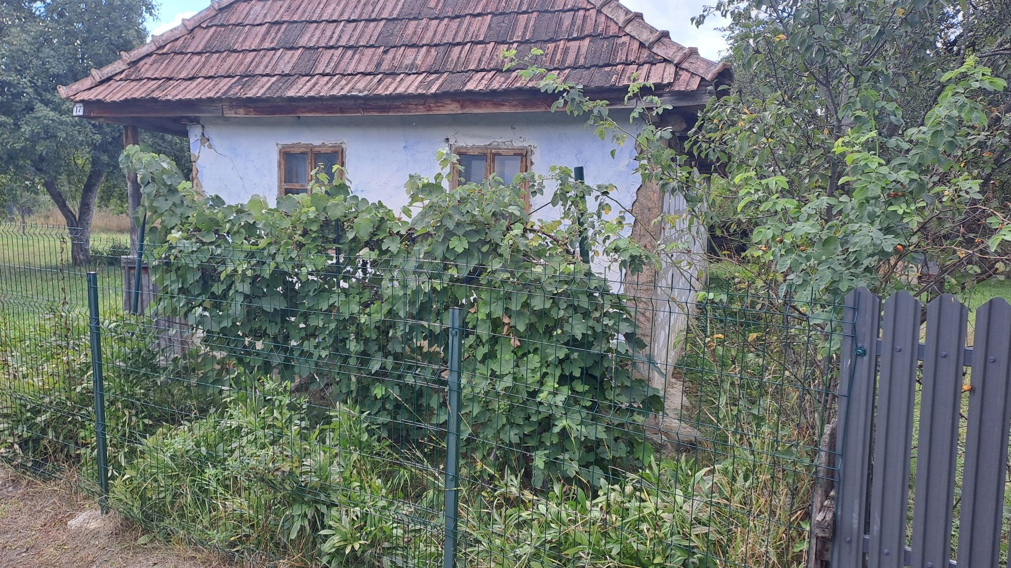 casă de vanzare  în  Chiheru de Sus — fotografia 5