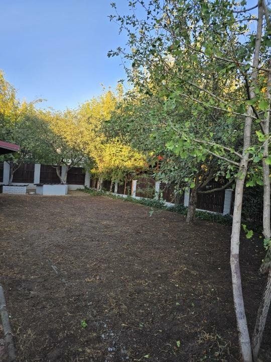 Casa individuala sector 5, strada dantelei, 500 m2 curte — fotografia 3