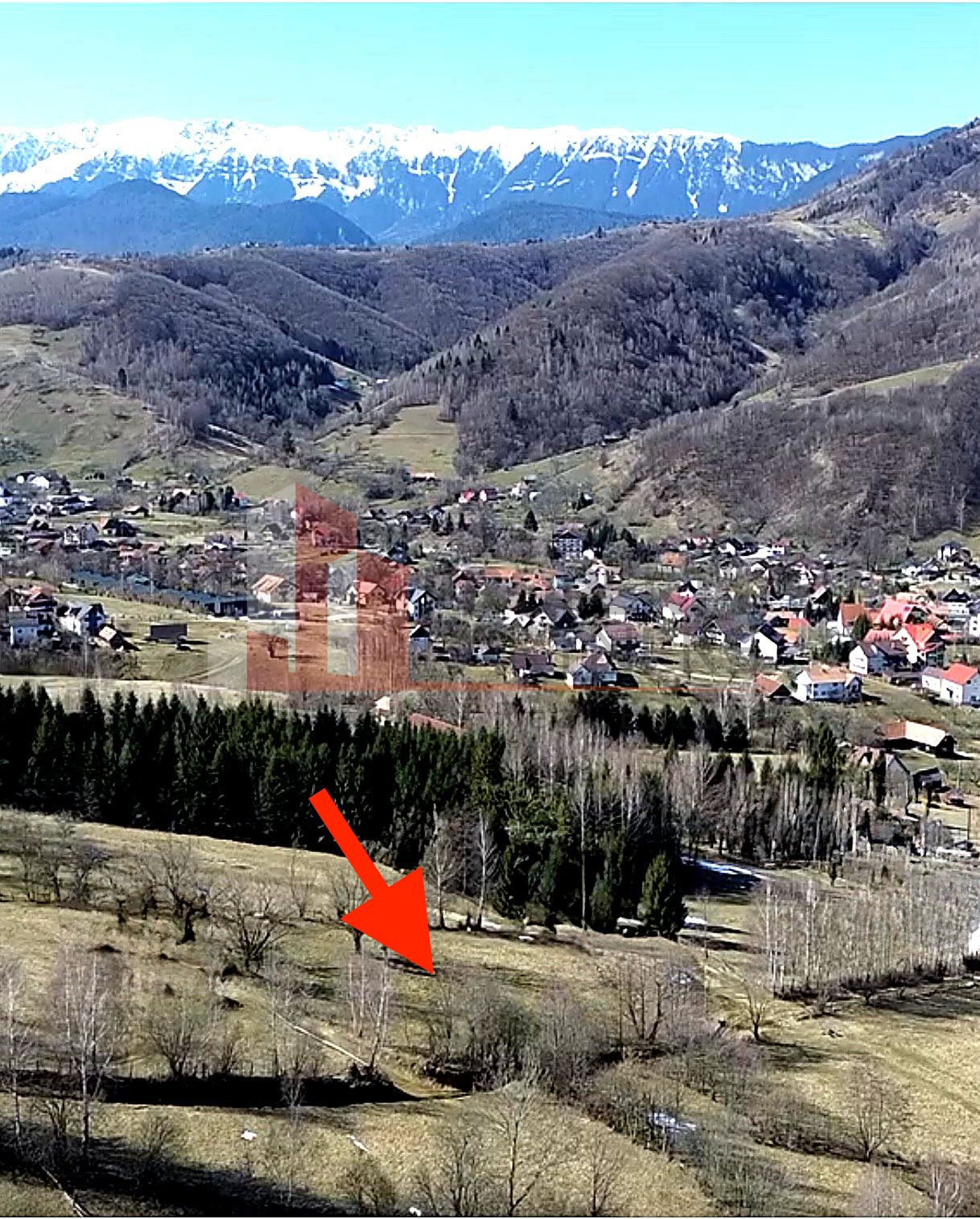 Teren Bran | 3.520 mp | Vedere Bucegi & Castelul Bran — fotografia 3