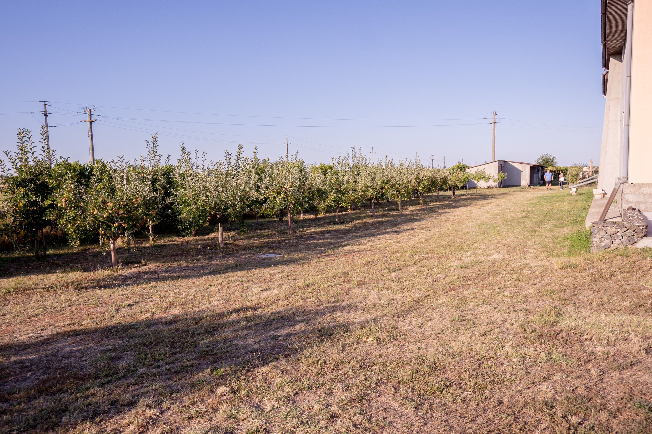 Casă de vânzare Furceni – 7 camere, teren 8.000 m — fotografia 17