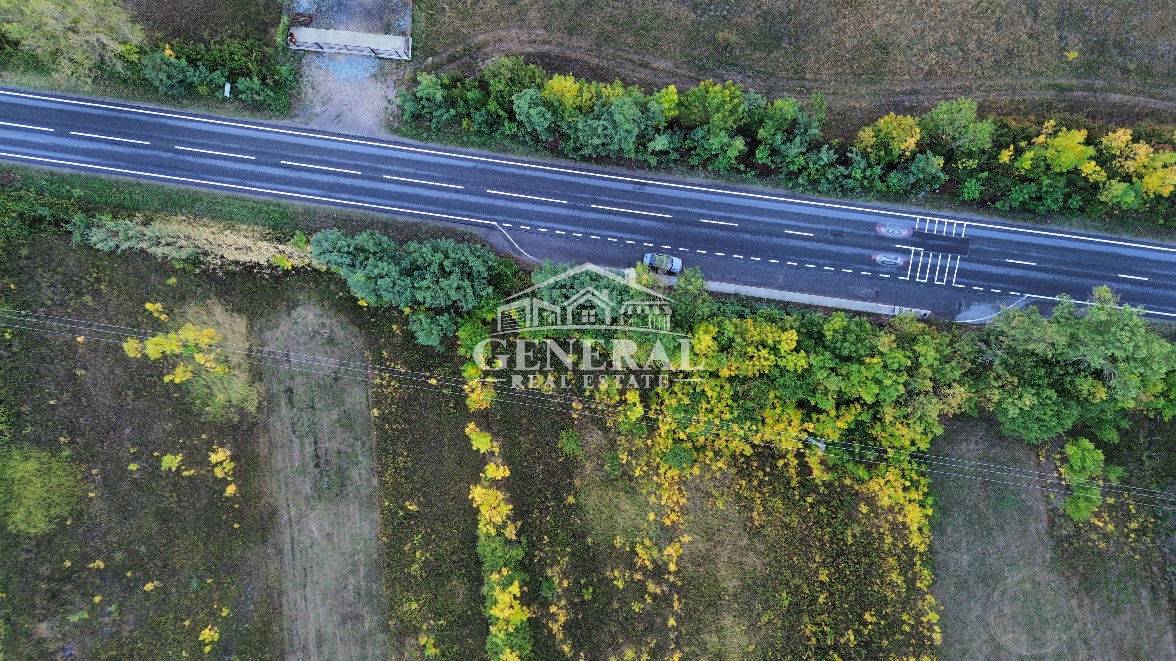 Teren de vanzare 4.000m2 in Cicarlau la Drum European E58 BM-SM KM-15 — fotografia 6