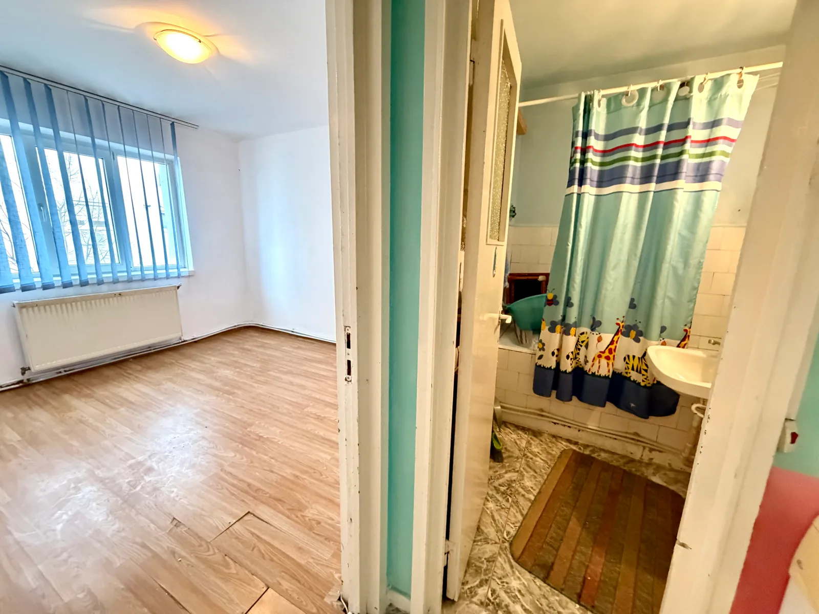 3 camere, et 3, 57 mp Miron Costin — fotografia 6