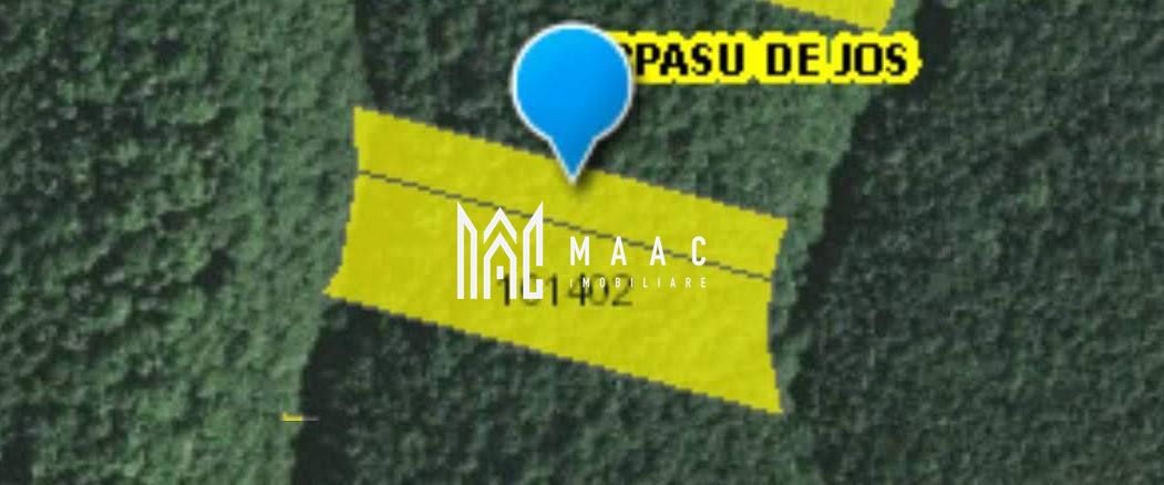 Teren extravilan de vânzare | Arpașu de Sus | 3100 mp — fotografia 5