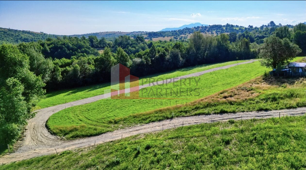 Terenuri în Zărnești–Tohănița, lângă pădure, cu vedere către Piatra Craiului — fotografia 4