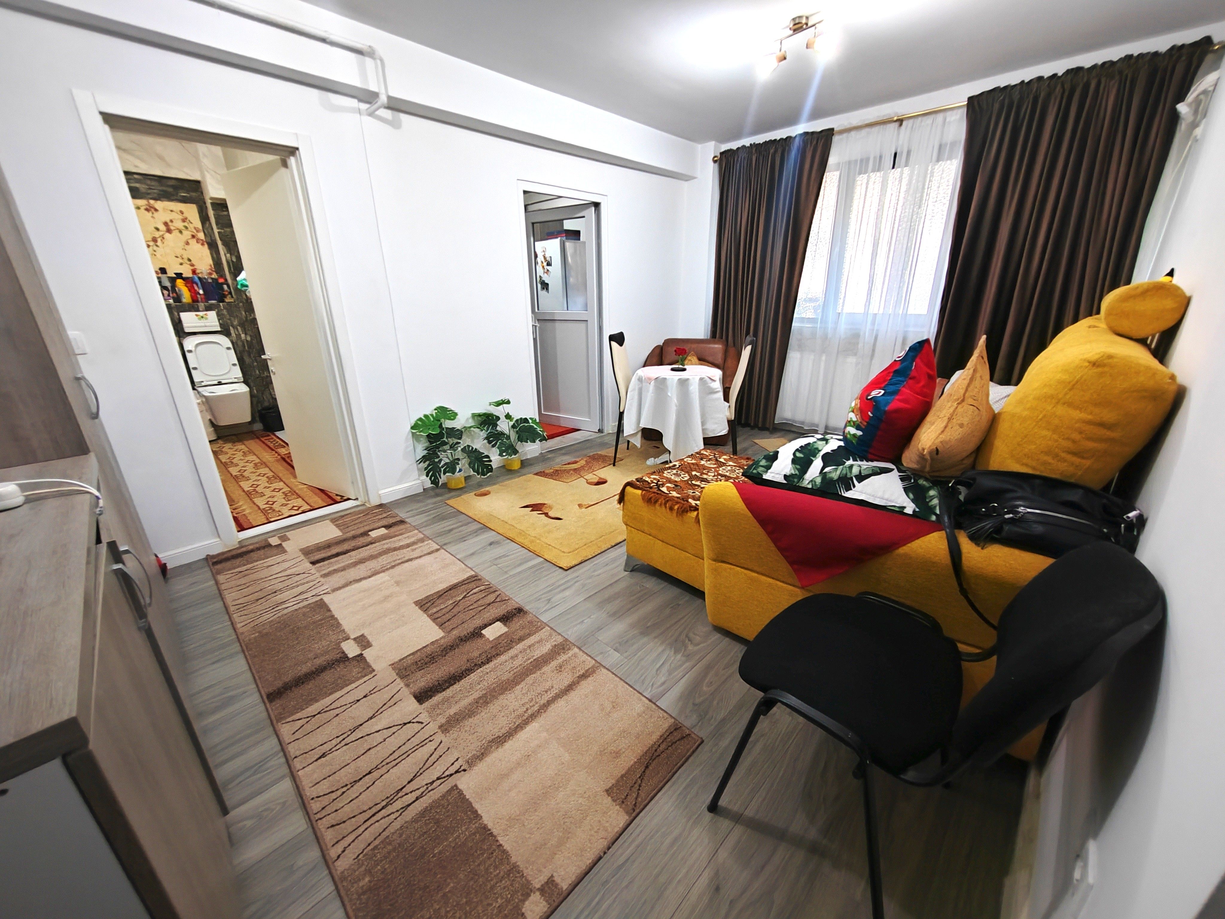 Apartament 1 camera 29,4 mp MOBILAT și UTILAT - Bucium-Visan