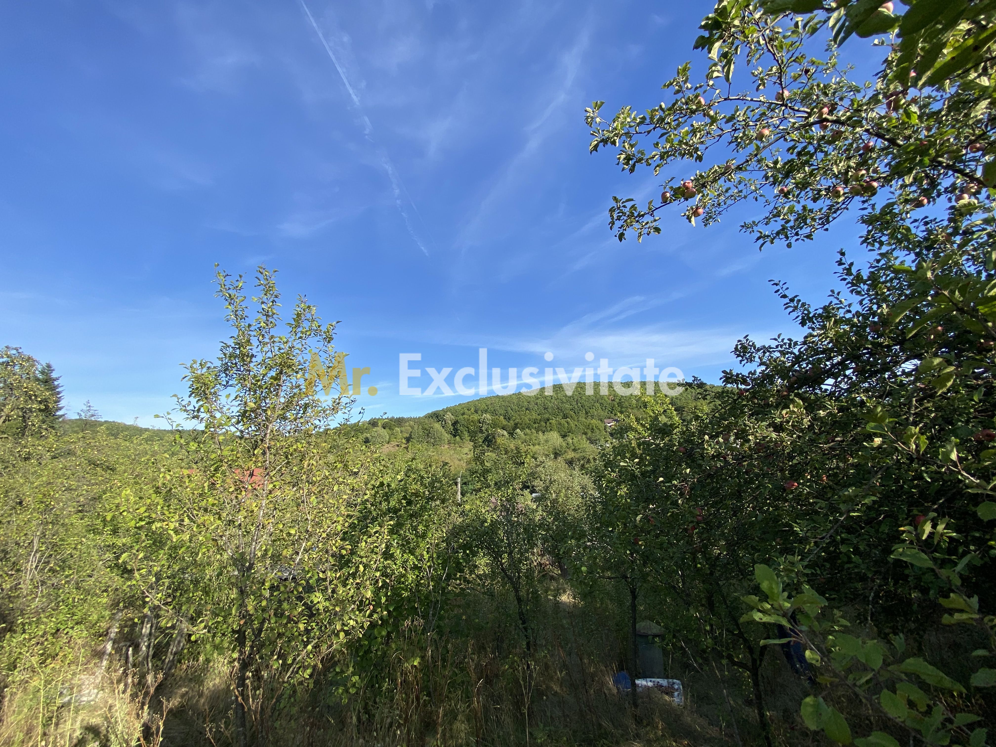 CASA + TEREN 1.002 MP | Stefanesti – Valea Mare Enculescu-Arges — fotografia 10