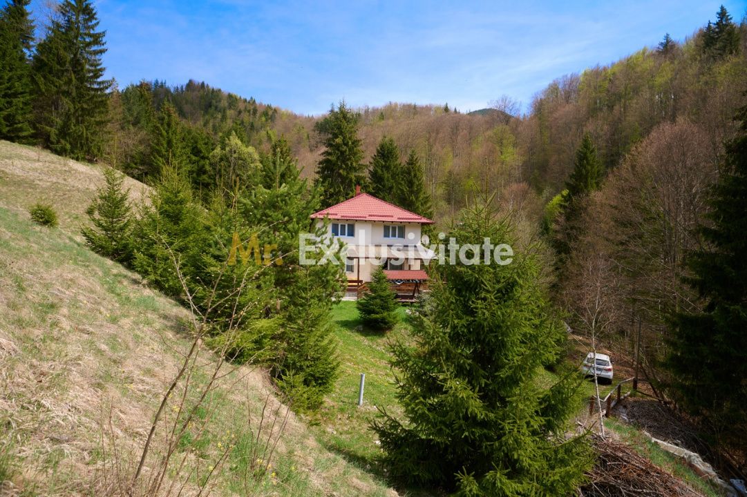 Casa de vacanta sau pensiune in Dâmbovicioara 5 camere, 5 bai, 6412 mp teren — fotografia 6