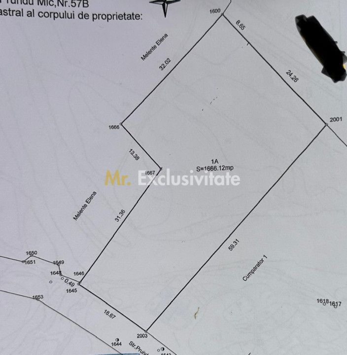 Teren intravilan Prundu - oportunitate excelentă de investiție! — fotografia 2