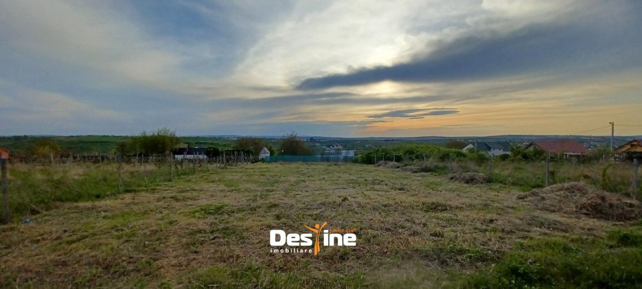 Bârnova - Teren Intravilan 974 Mp, utilitati, drum betonat — fotografia 4