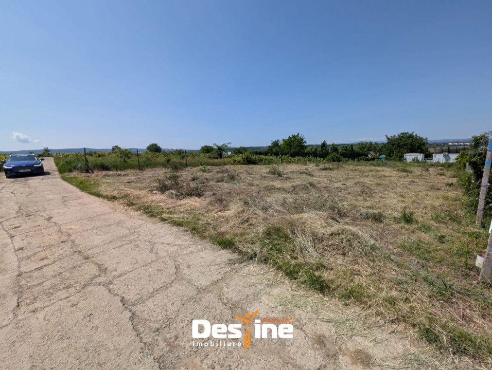 Bârnova - Teren Intravilan 974 Mp, utilitati, drum betonat — fotografia 5