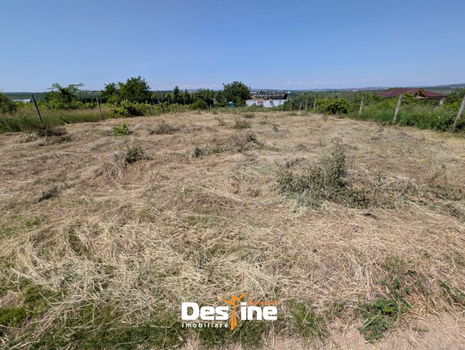 Bârnova - Teren Intravilan 974 Mp, utilitati, drum betonat — fotografia 6