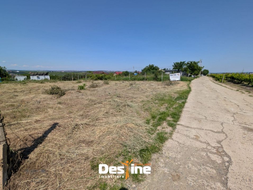 Bârnova - Teren Intravilan 974 Mp, utilitati, drum betonat — fotografia 7
