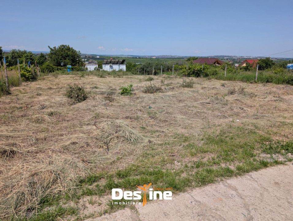 Bârnova - Teren Intravilan 974 Mp, utilitati, drum betonat — fotografia 9
