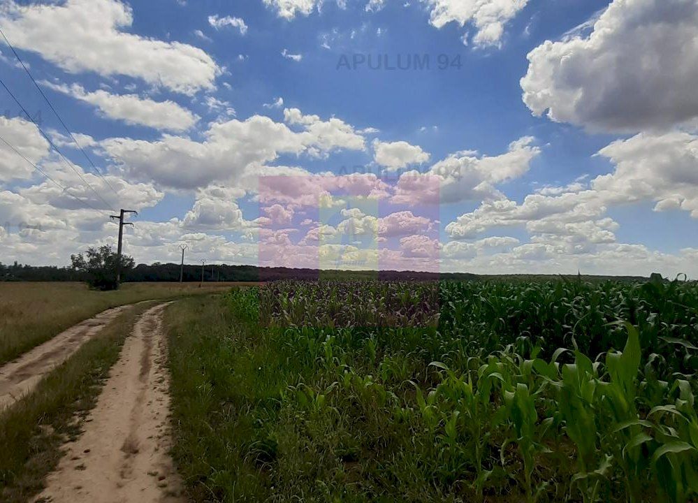 Teren 715mp în Snagov lângă Equestria — fotografia 4