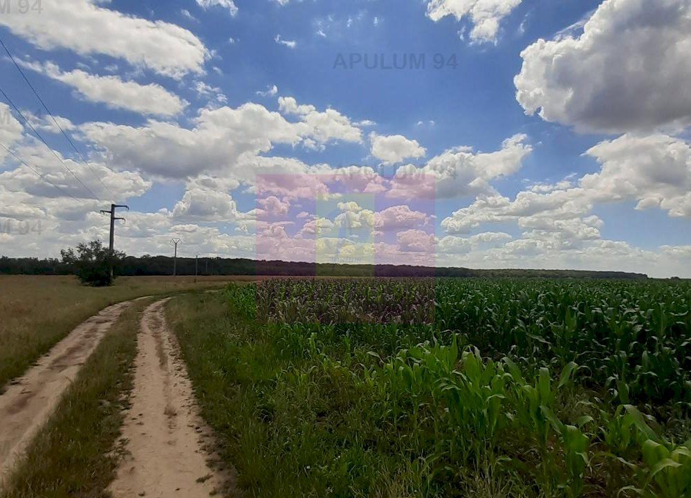 Teren 715mp în Snagov lângă Equestria — fotografia 5