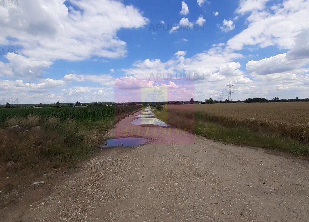 Teren 715mp în Snagov lângă Equestria — fotografia 6