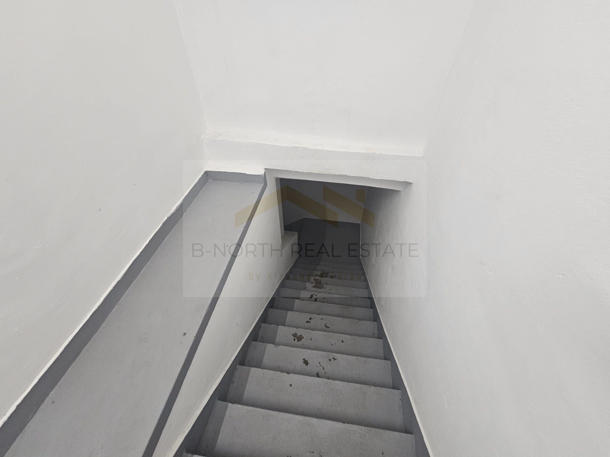 Spațiu comercial 205 mp, vitrină stradală 18 m, Calea Griviței – Pod Basarab — fotografia 7