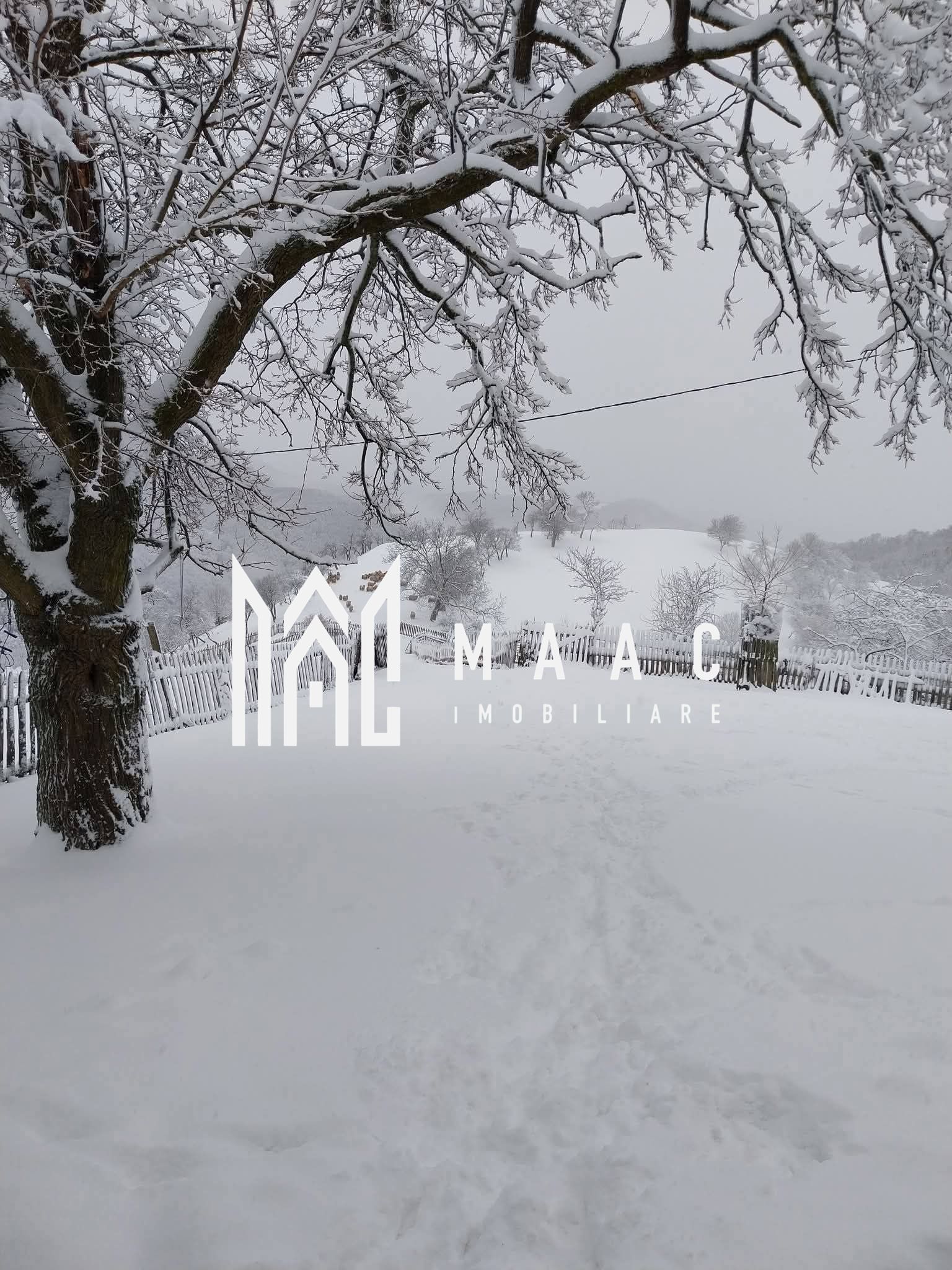 Casa I 60000 mp pamant I  Cugir I Alba — fotografia 16