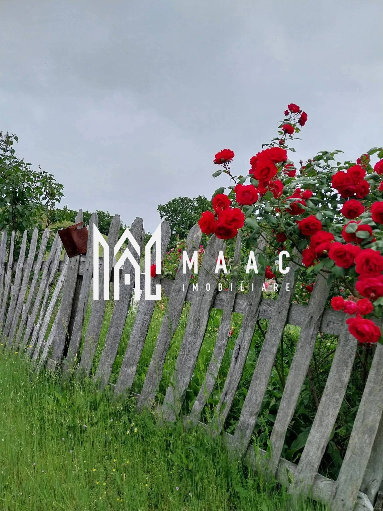 Casa I 60000 mp pamant I  Cugir I Alba — fotografia 17