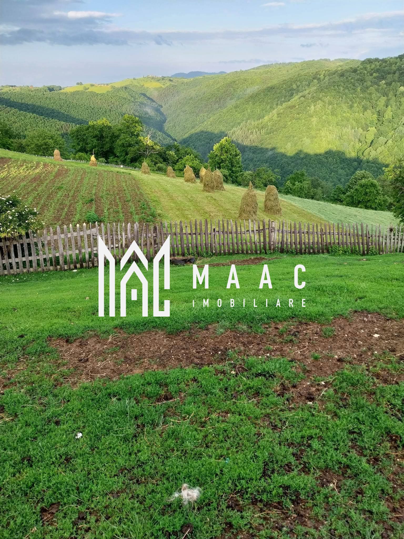 Casa I 60000 mp pamant I  Cugir I Alba — fotografia 30