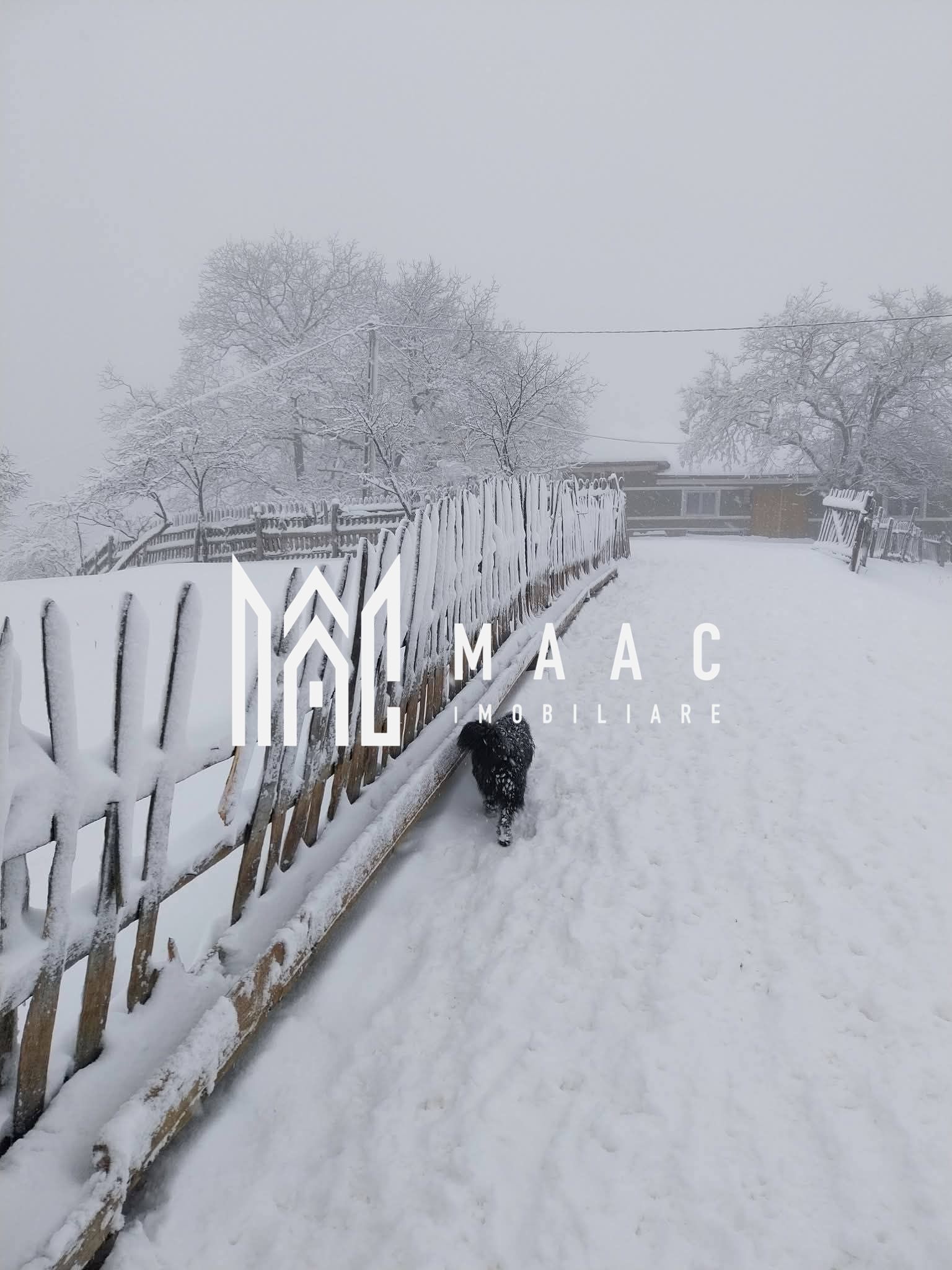 Casa I 60000 mp pamant I  Cugir I Alba — fotografia 4