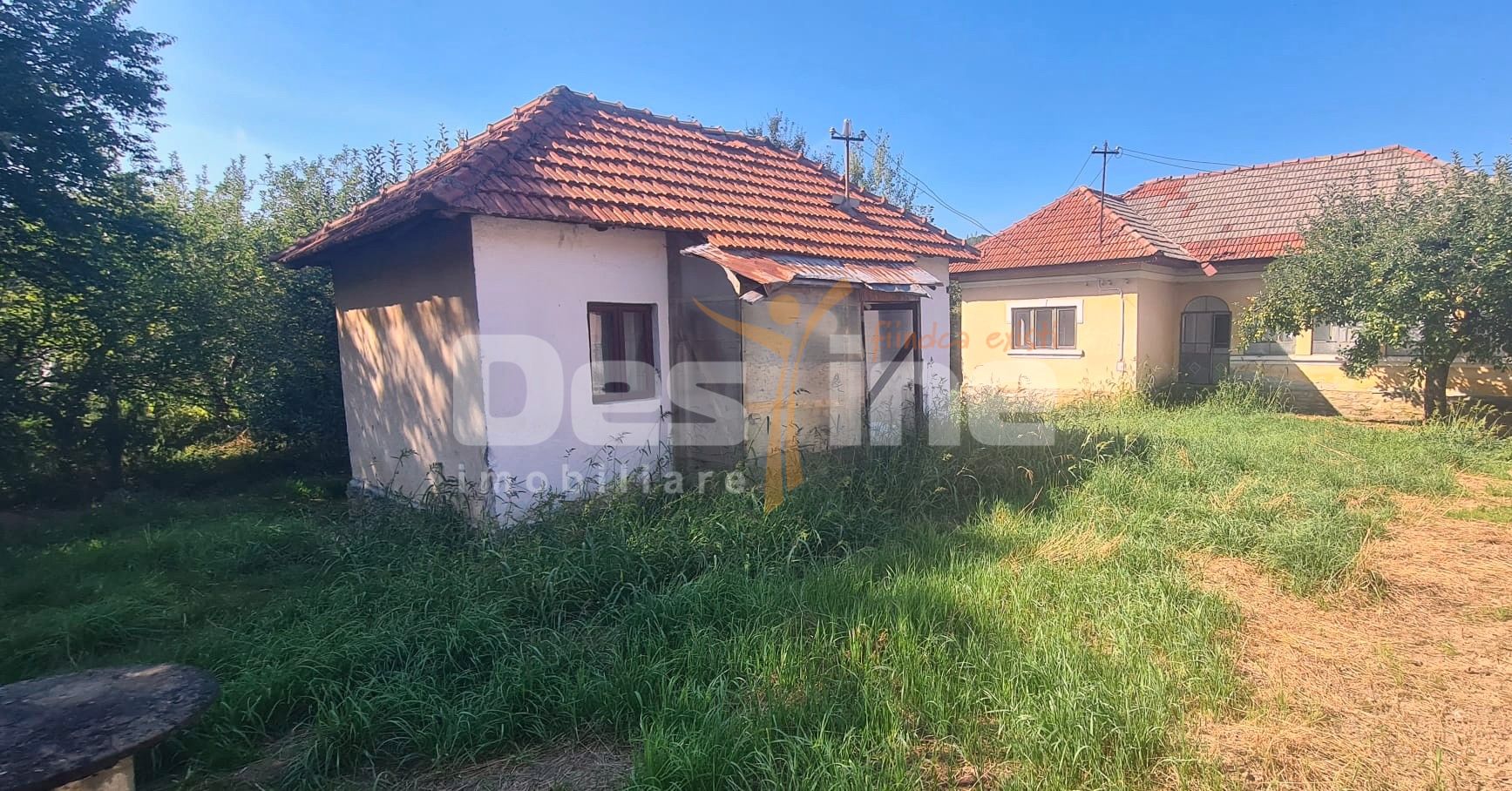 Proprietate cu potential, casa, anexa si teren 985 mp, Malu cu Flori — fotografia 3