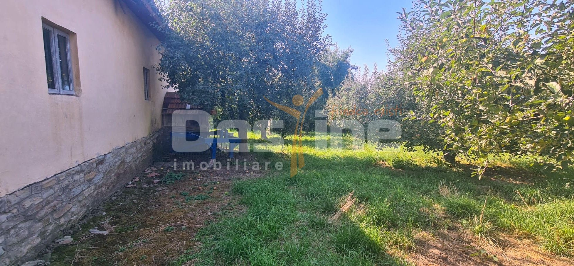 Proprietate cu potential, casa, anexa si teren 985 mp, Malu cu Flori — fotografia 4