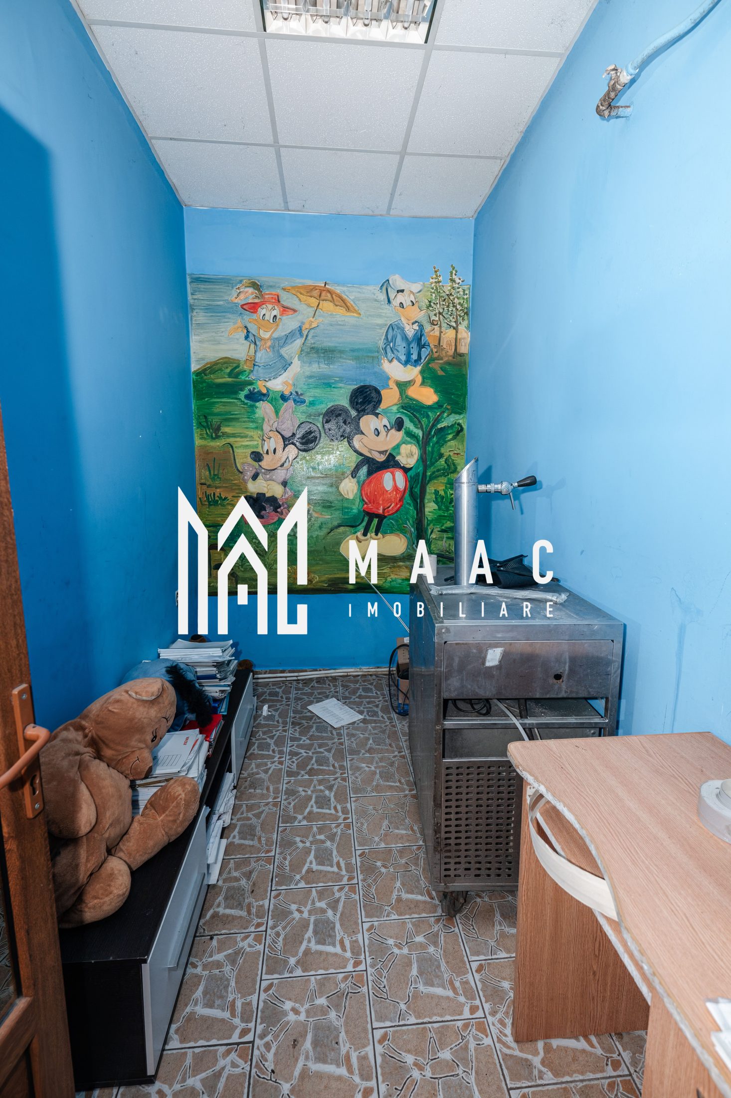 Spatiu comercial 100MP | Dragasani — fotografia 12