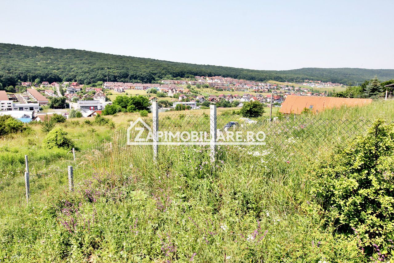 Teren 5.000 mp Corunca in spate la Dacia 40 euro mp — fotografia 3
