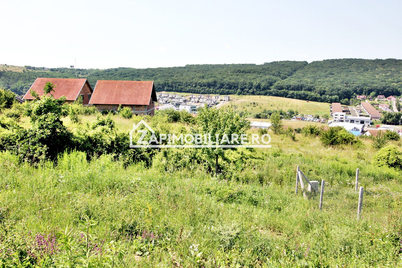 Teren 5.000 mp Corunca in spate la Dacia 40 euro mp — fotografia 4