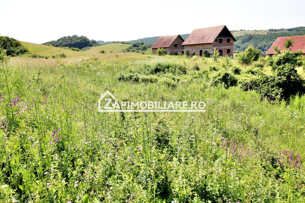 Teren 5.000 mp Corunca in spate la Dacia 40 euro mp — fotografia 5