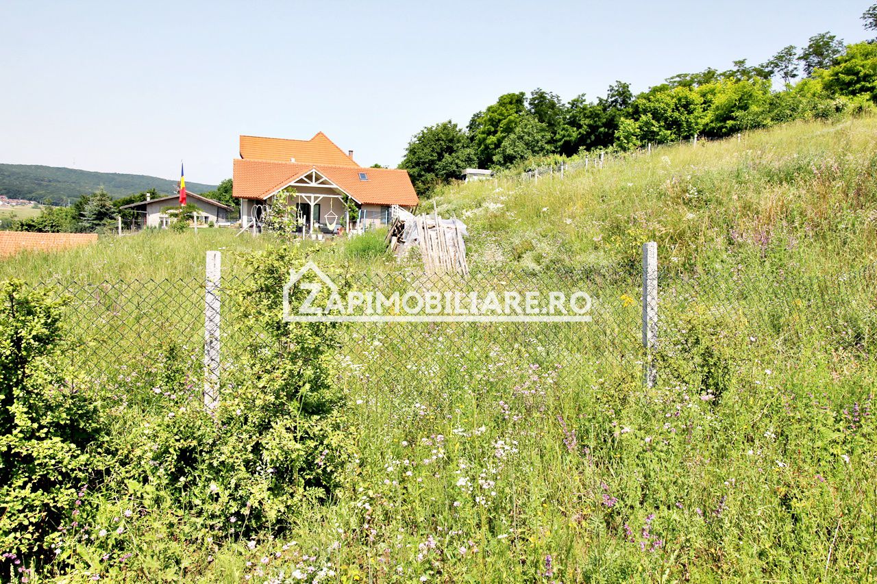 Teren 5.000 mp Corunca in spate la Dacia 40 euro mp — fotografia 7
