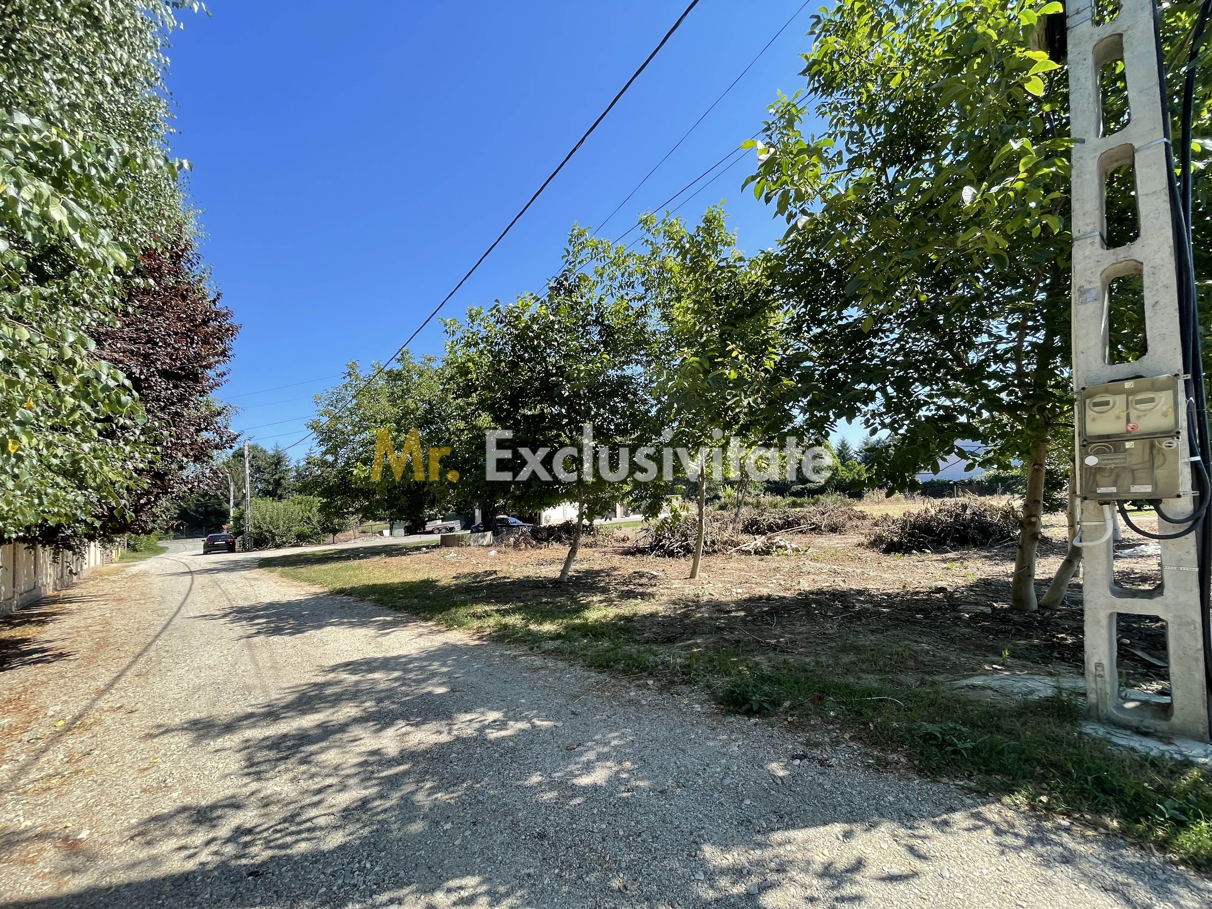 Teren 1.487 mp, doua deschideri la drum, Stefanestii Noi – Zavoi — fotografia 4