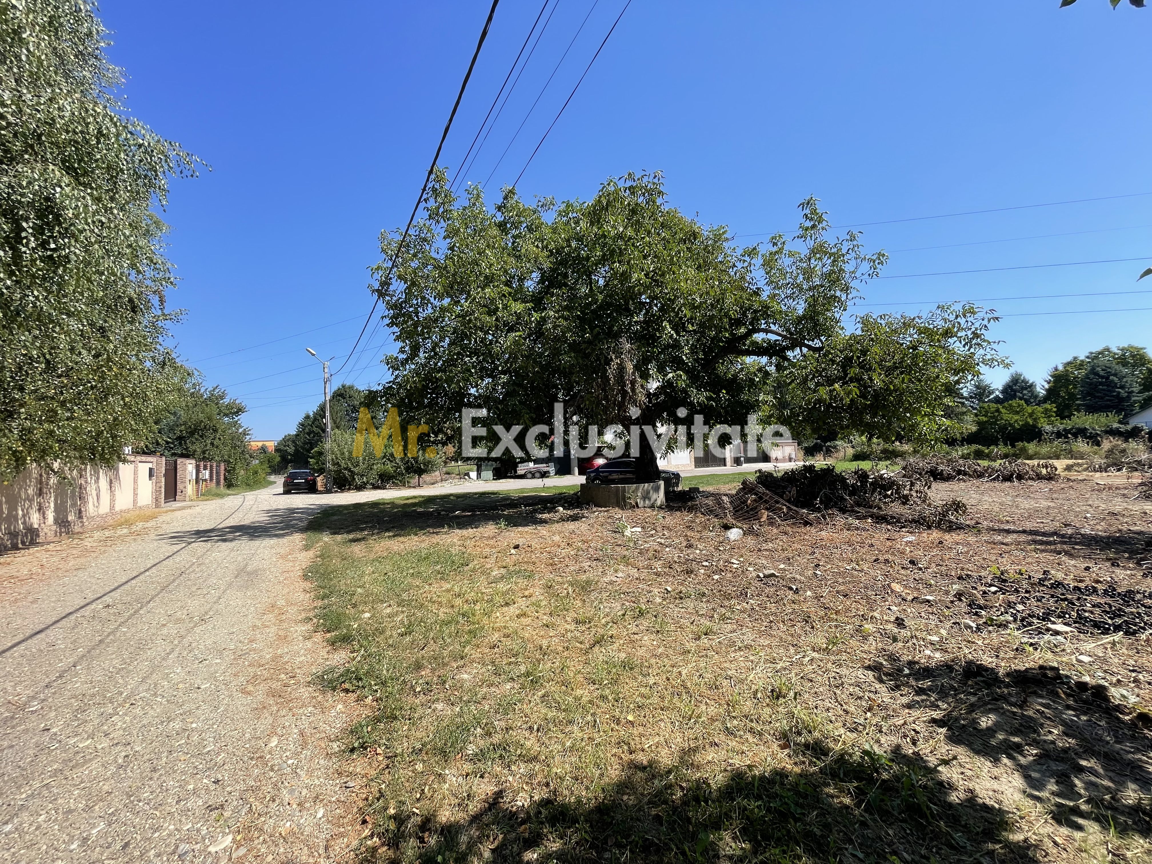 Teren 1.487 mp, doua deschideri la drum, Stefanestii Noi – Zavoi — fotografia 6