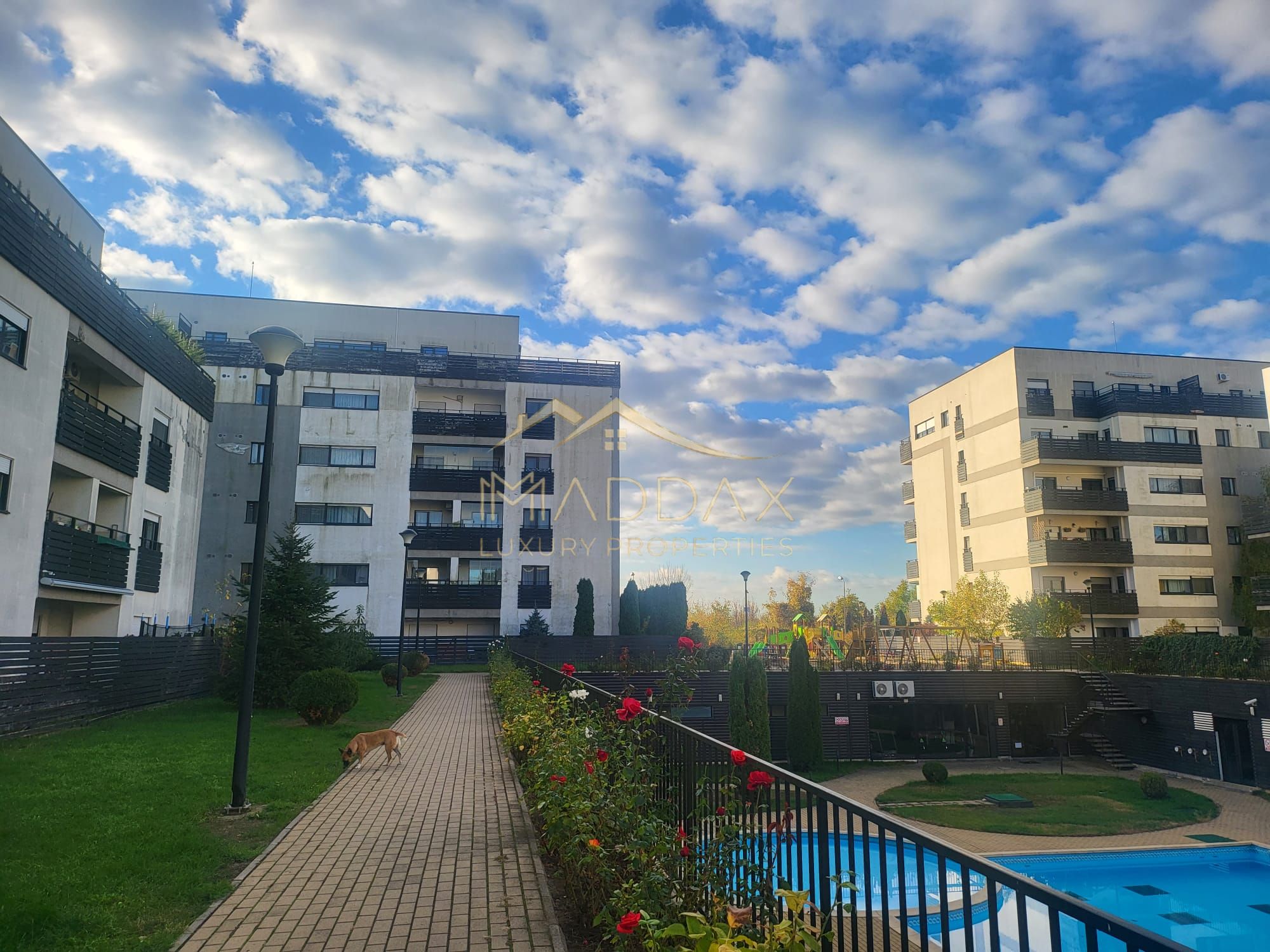 3 Camere | 77 mp Utili | Boxă Inclusă | Piscină & Fitness | Lângă Pădurea Băneas — fotografia 3