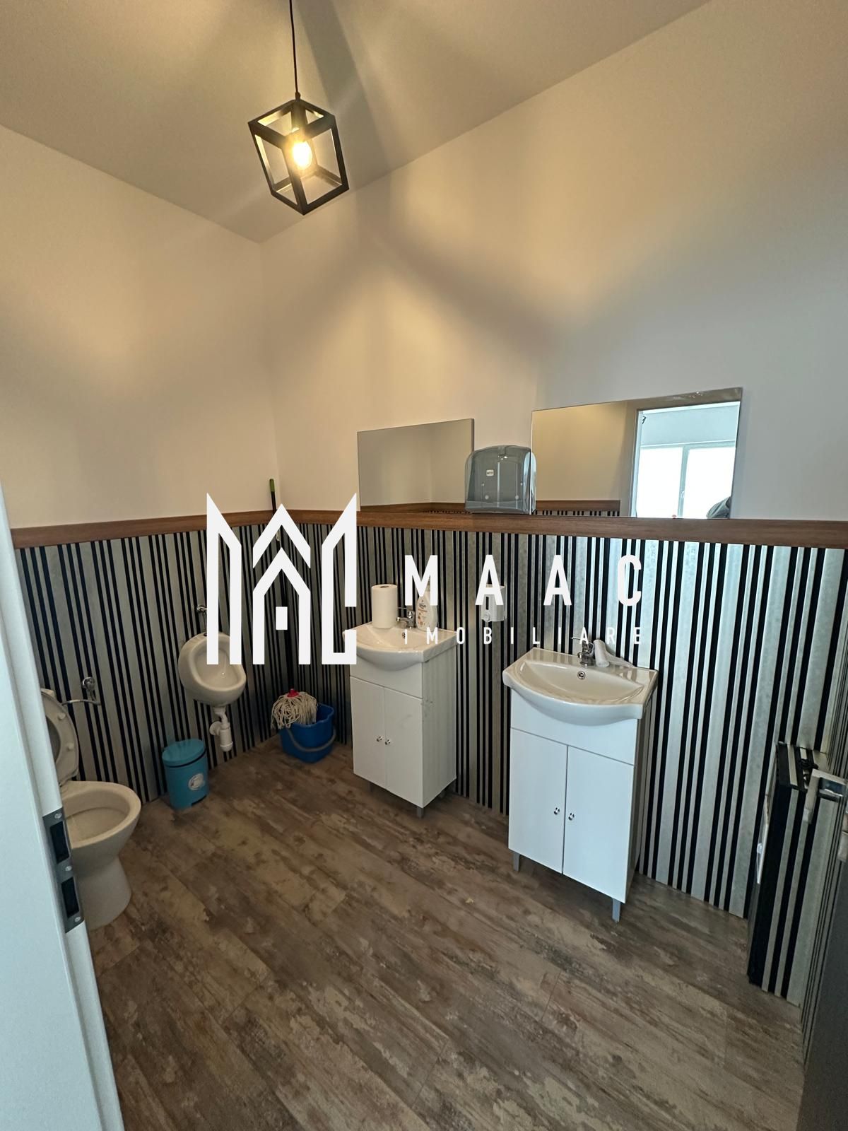 Spatiu comercial cu gradina I Selimbar — fotografia 4