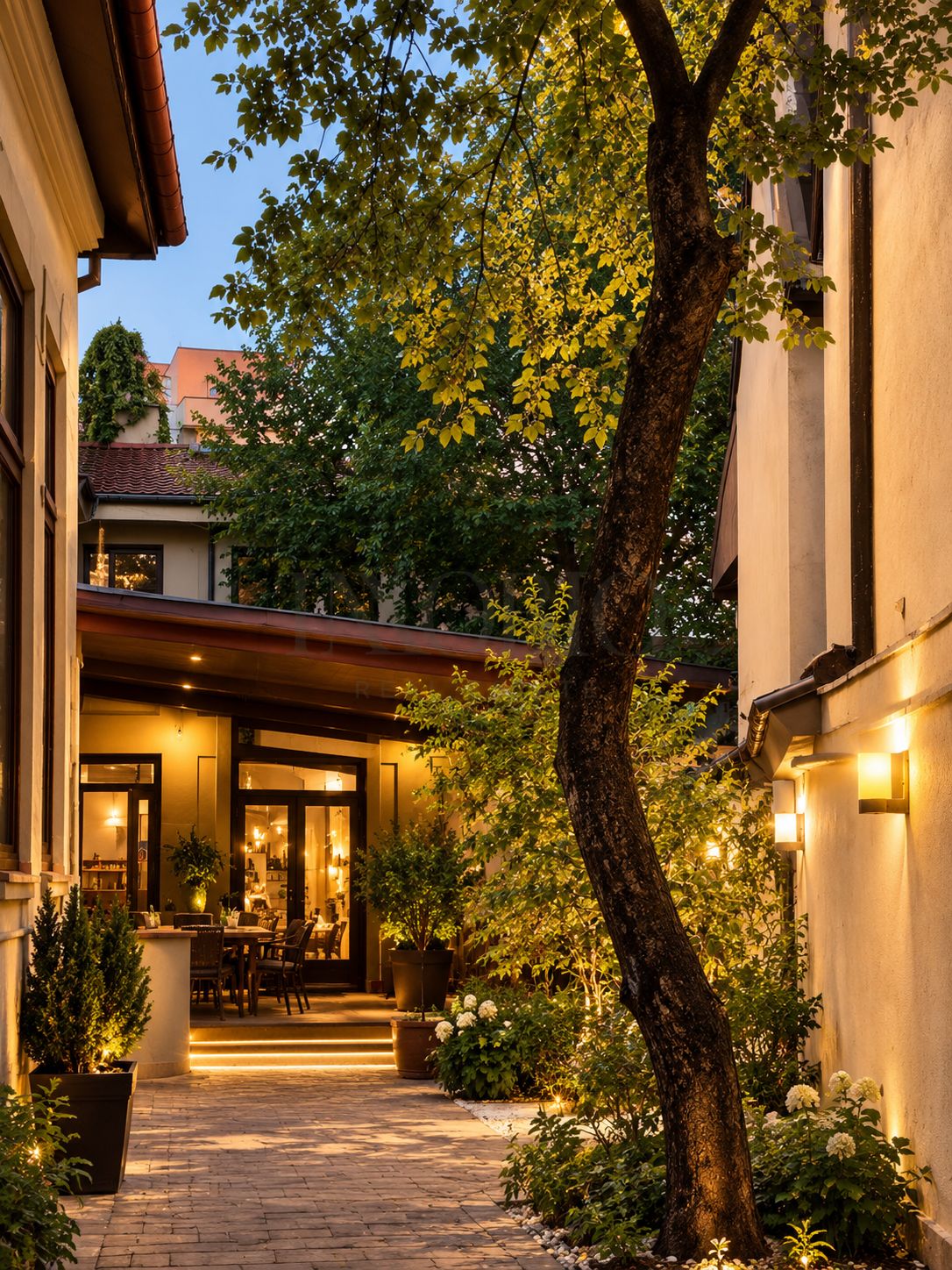 ESTABLISHED RESTAURANT LOCATION | PACHE PROTOPESCU