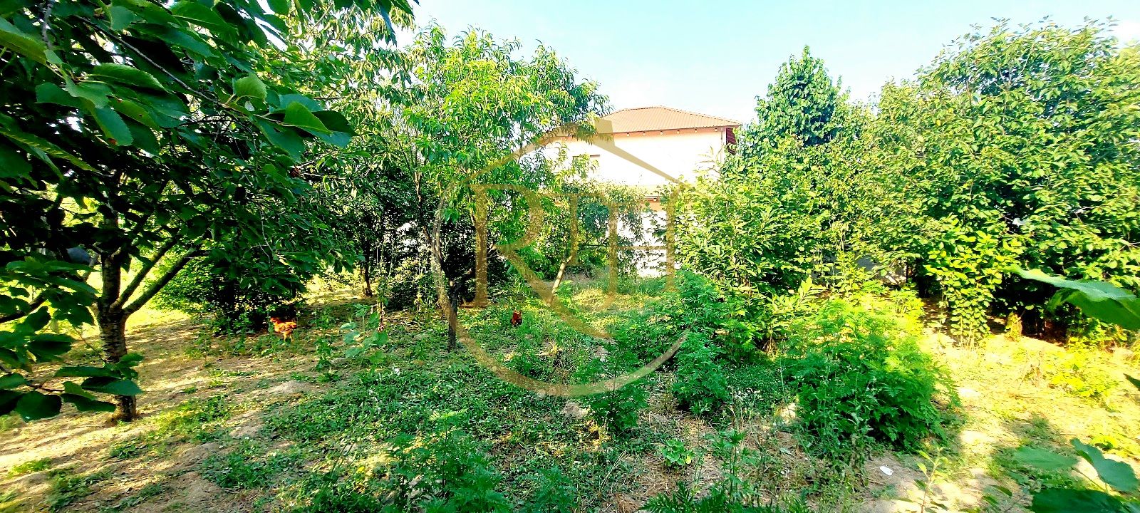Oferim spre vanzare casa, 6camere, 162mp utili,809mp teren,in Giroc 0% Comision — fotografia 7