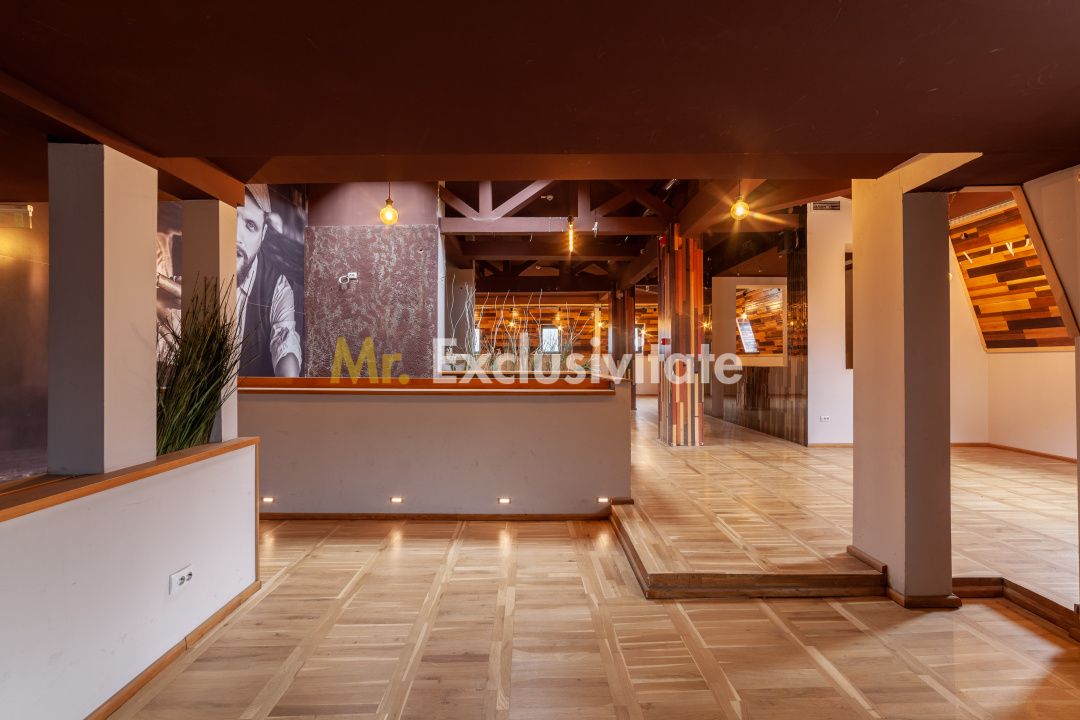 Spatiu comercial premium in vila – Bd. Republicii, Pitesti — fotografia 14