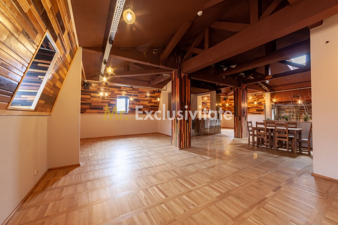 Spatiu comercial premium in vila – Bd. Republicii, Pitesti — fotografia 7