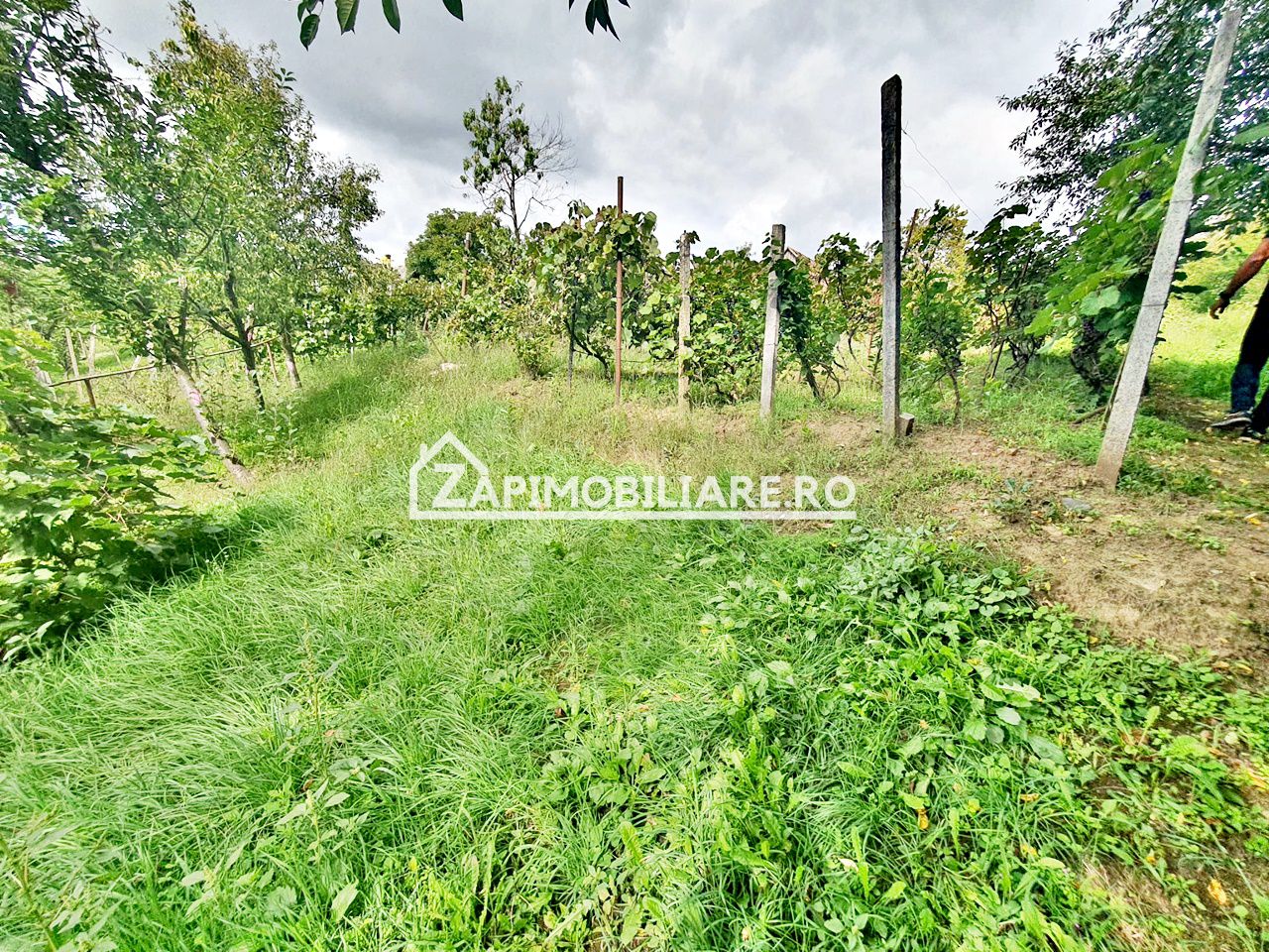 Teren 3.412 mp,zona Belvedere 45 euro mp — fotografia 10
