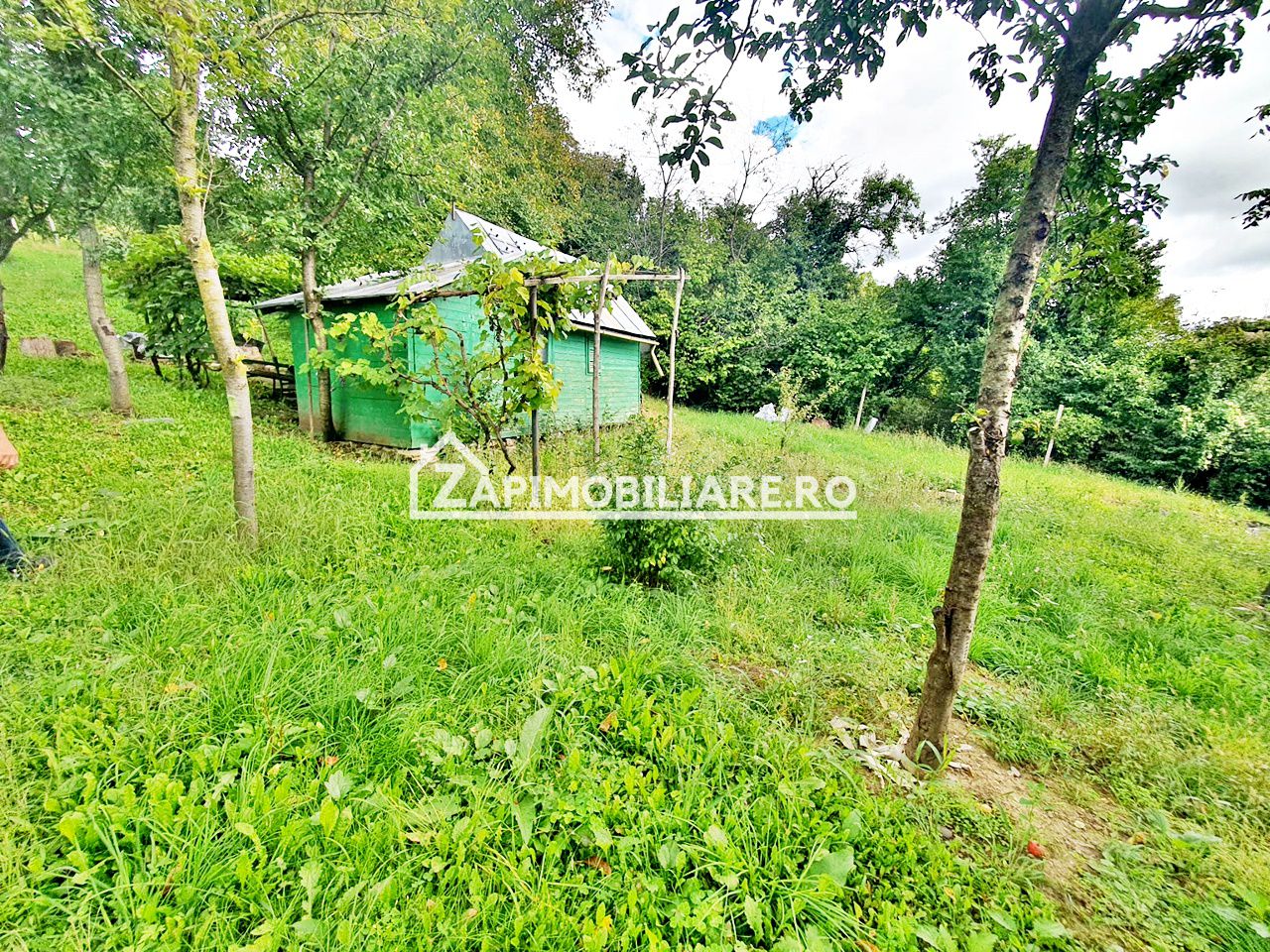 Teren 3.412 mp,zona Belvedere 45 euro mp — fotografia 4