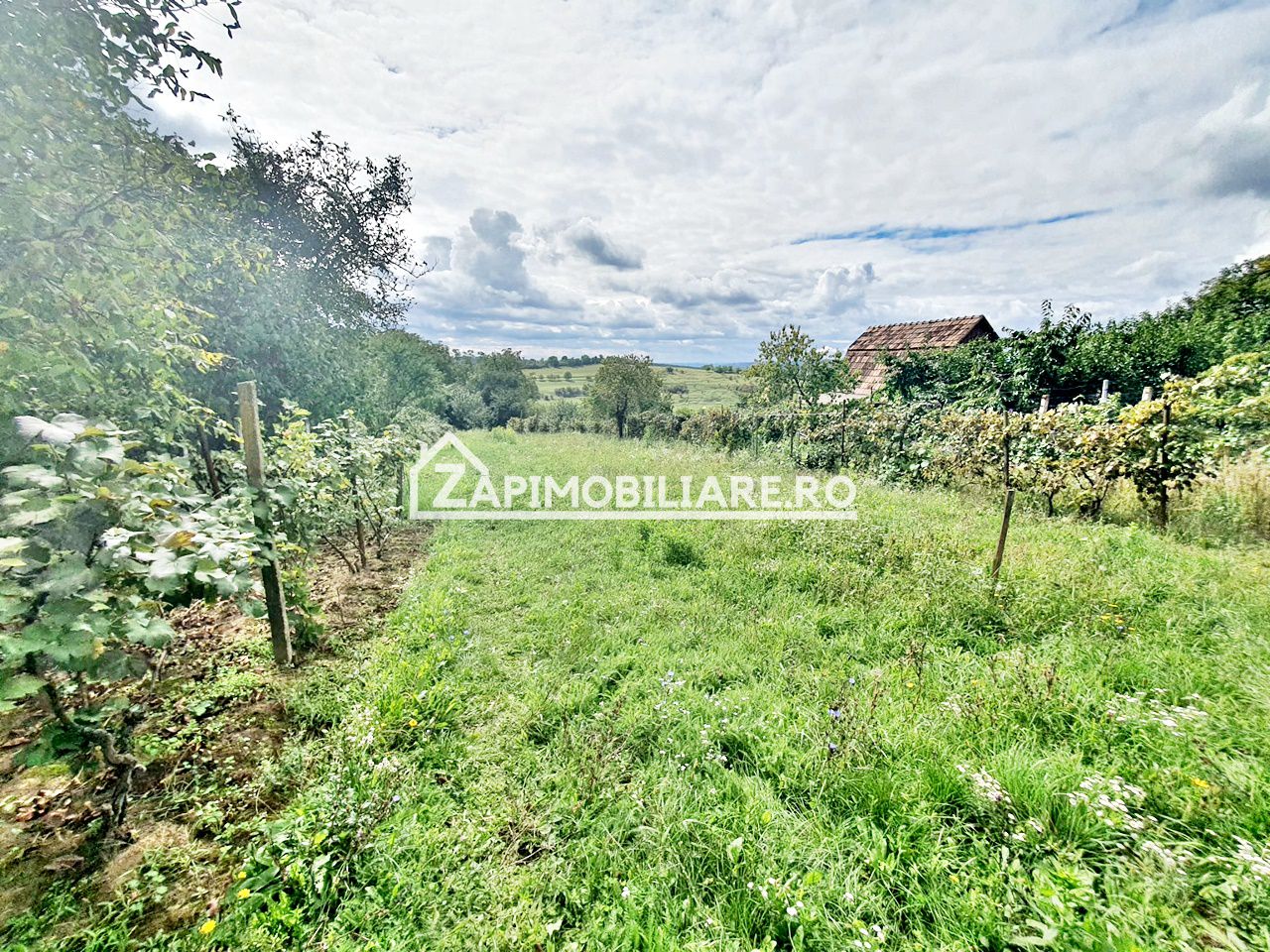 Teren 3.412 mp,zona Belvedere 45 euro mp — fotografia 6